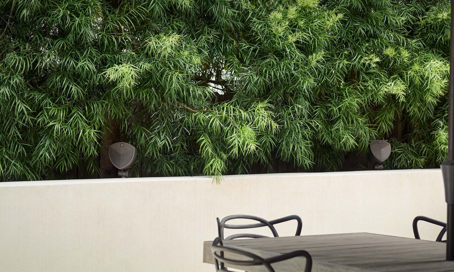 LS-400 sitting in a planter immersed in bushes