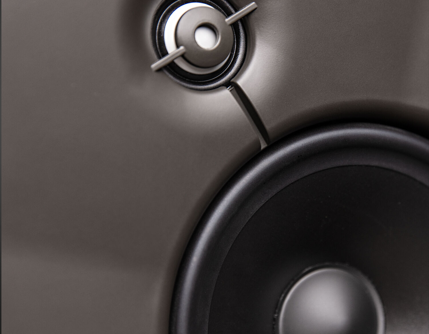 A tweeter and a woofer