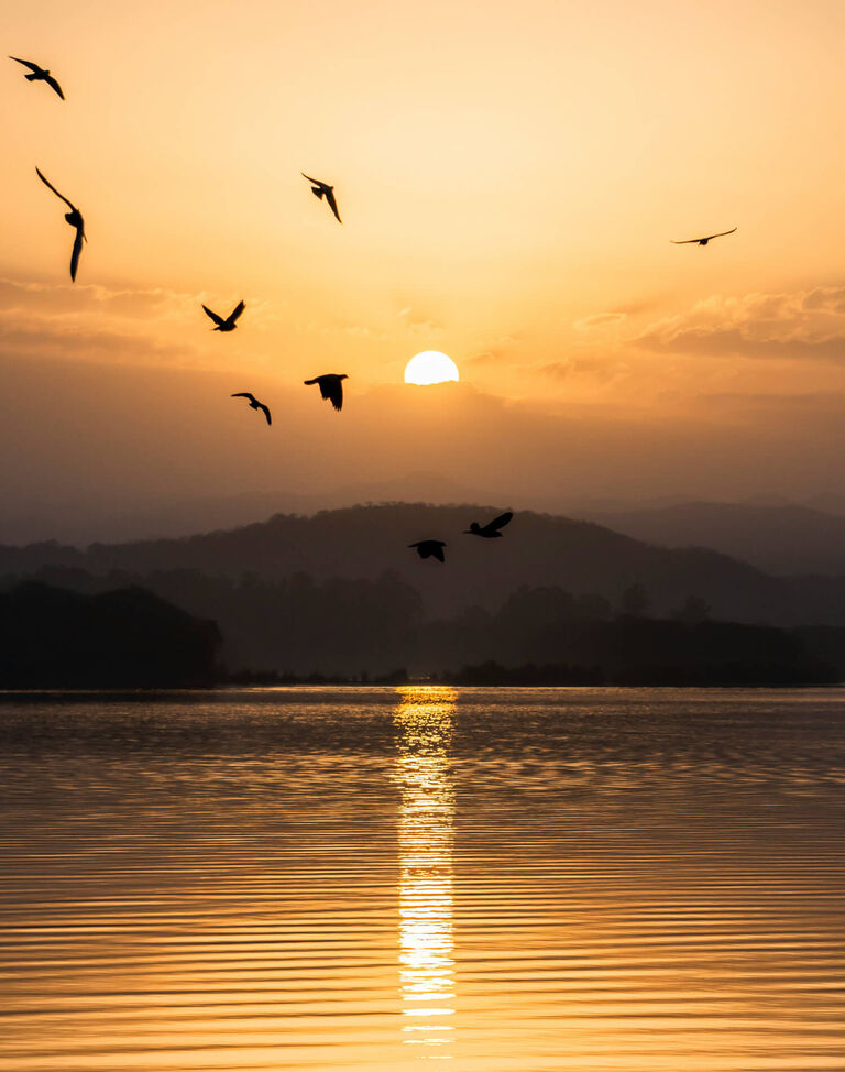 A sunset over water with birds flying overhead.